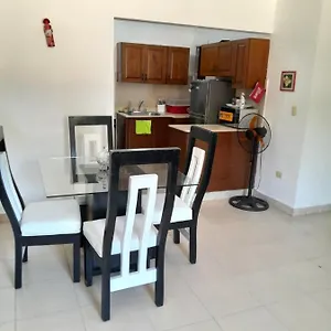 Apartamento Comodo En El Centro De La Ciudad, Santiago De Los Caballeros
